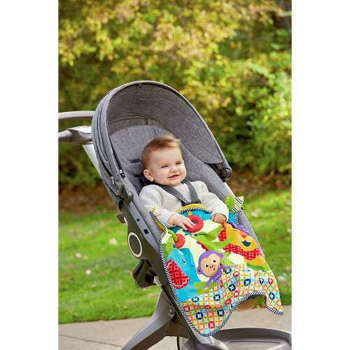 Fisher-Price Fisher-Price On-the-Go Activity Throw 1