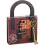 The Einstein Collection Lock Puzzle - Tricky ?????t? pa????d? e??ef???? - 3D Brain Teaser Puzzles ap? t?? Professor Puzzle. 2