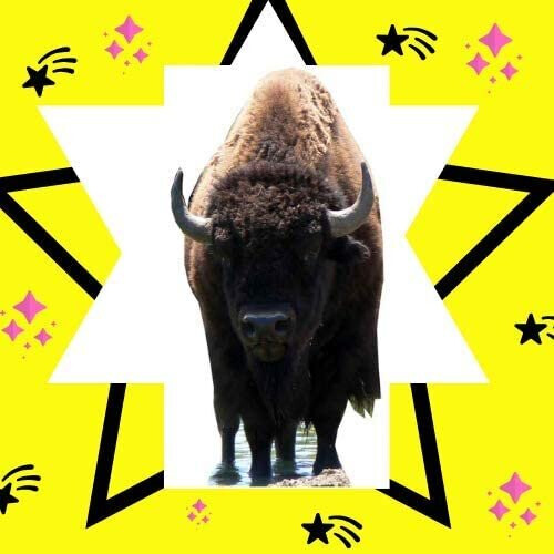 Star Cutouts Cut Out of Bison Buffalo 2