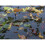 Blagdon Blagdon Clearview Pond Cover Net - 10m x 6m 5