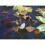 Blagdon Blagdon Clearview Pond Cover Net - 10m x 6m 4