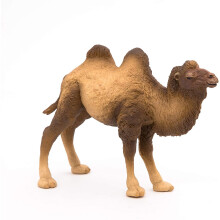 Figurinha Camelo da Bactriana - PAPO - A VIDA SELVAGEM - Marrom - Interior - Criança