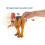 Jurassic World Jurassic World GJN66 Sound Strike Cryolophosaurus 4