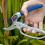Spear & Jackson Spear & Jackson Razorsharp Ratchet Anvil Secateurs, Silver 2