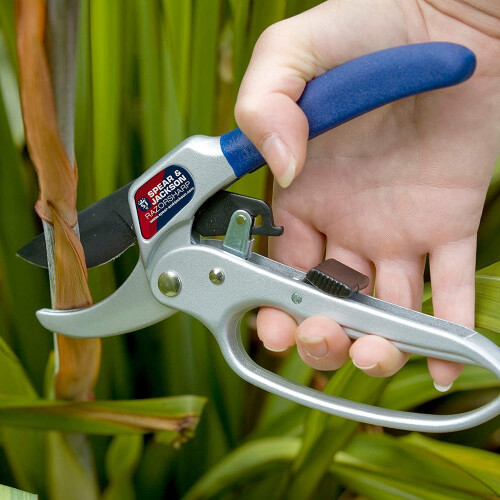 Spear & Jackson Spear & Jackson Razorsharp Ratchet Anvil Secateurs, Silver 1