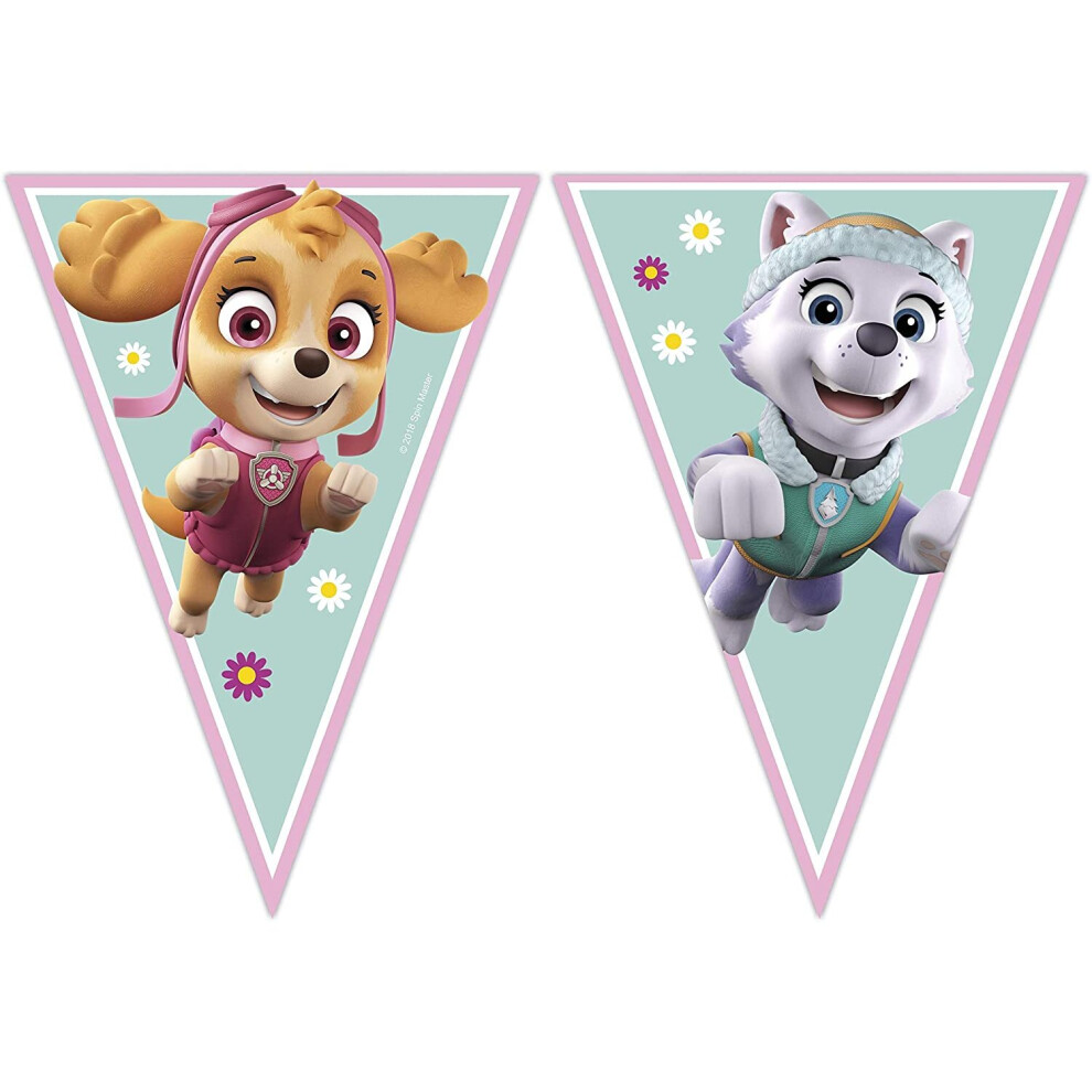 New Paw Patrol Spin Master Skye & Everest 91347 Flag Banner, Green