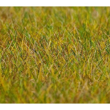 FALLER Light Green Meadow 6mm Premium Ground Cover Fibres (30g) HO Gauge 180484
