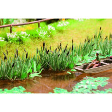NOCH Reeds (16) Laser Cut Minis Kit HO Gauge Scenics 14102