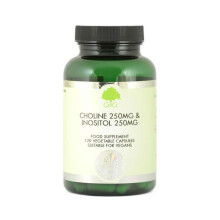 Choline 250mg & Inositol 250mg 120's (Currently Unavailable)