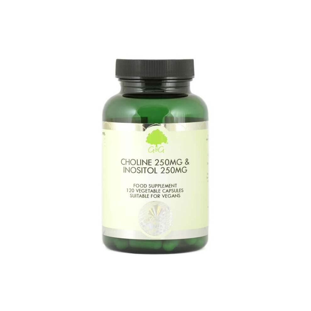 Choline 250mg & Inositol 250mg 120's (Currently Unavailable) - Image 2