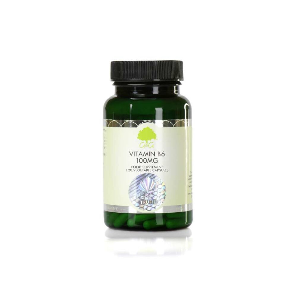 Vitamin B6 100mg (Pyridoxine HCL) 120's - Image 2