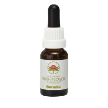Boronia (Stock Bottle) 15ml
