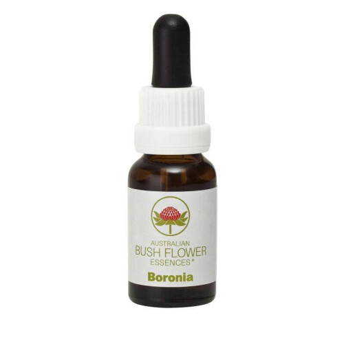 Boronia (Stock Bottle) 15ml