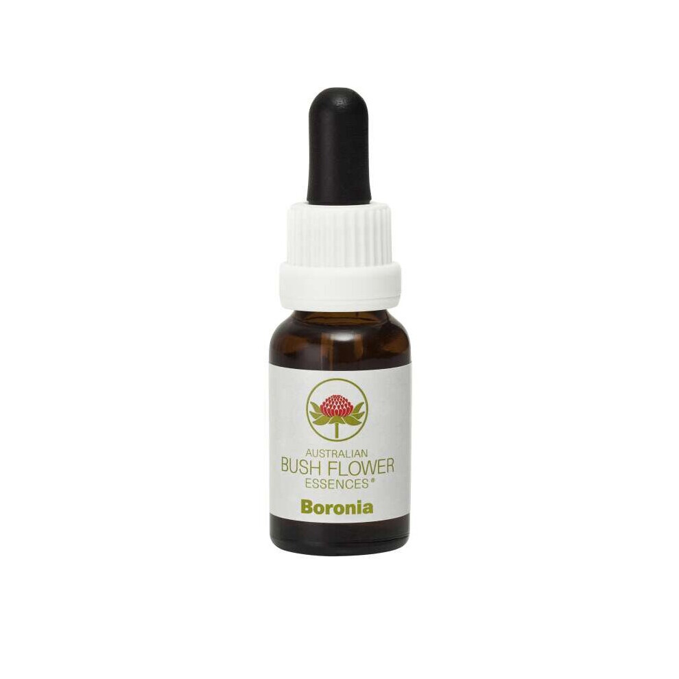 Boronia (Stock Bottle) 15ml