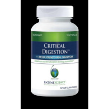 Critical Digestion 90's