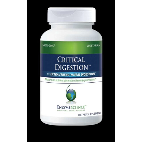 Critical Digestion 90's