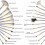 24PCS Make up Brushes Set Cosmetic Tool Kabuki Makeup+ Luxury Bag 7