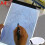A4 LED Slim Art Craft Drawing Copy Tracing Tattoo Light Box Pad Board 4