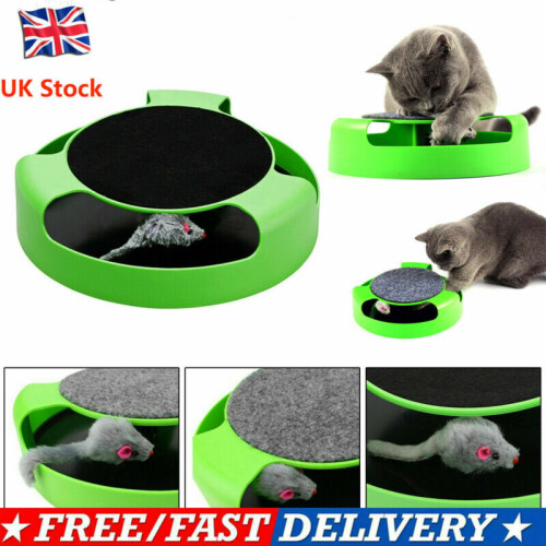 Catch The Mouse Pet Cat Motion Game With Scratch Pad Plush Moving Claw