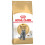 Royal Canin FBN Brit Rövidszőrű 4 kg 2