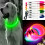 Ranpo (Multicoloured) Glowing LED Dog Collar Pet Safety Neck Ring 1