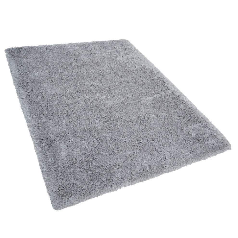 Shaggy Area Rug 160 x 230 cm Grey CIDE