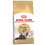 Royal Canin Royal Canin Persiano 30 - Crocchette - 4 kg 2