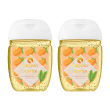 (Calypso sunrise - Anti-bacterial hand gel, Buy 2) HandiGel Pocket Size Hand Sanitizers Gel, 29ml