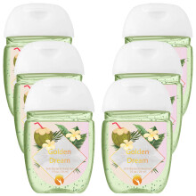 (Golden dream - Anti-bacterial hand gel, Buy 6) HandiGel Pocket Size Hand Sanitizers Gel, 29ml