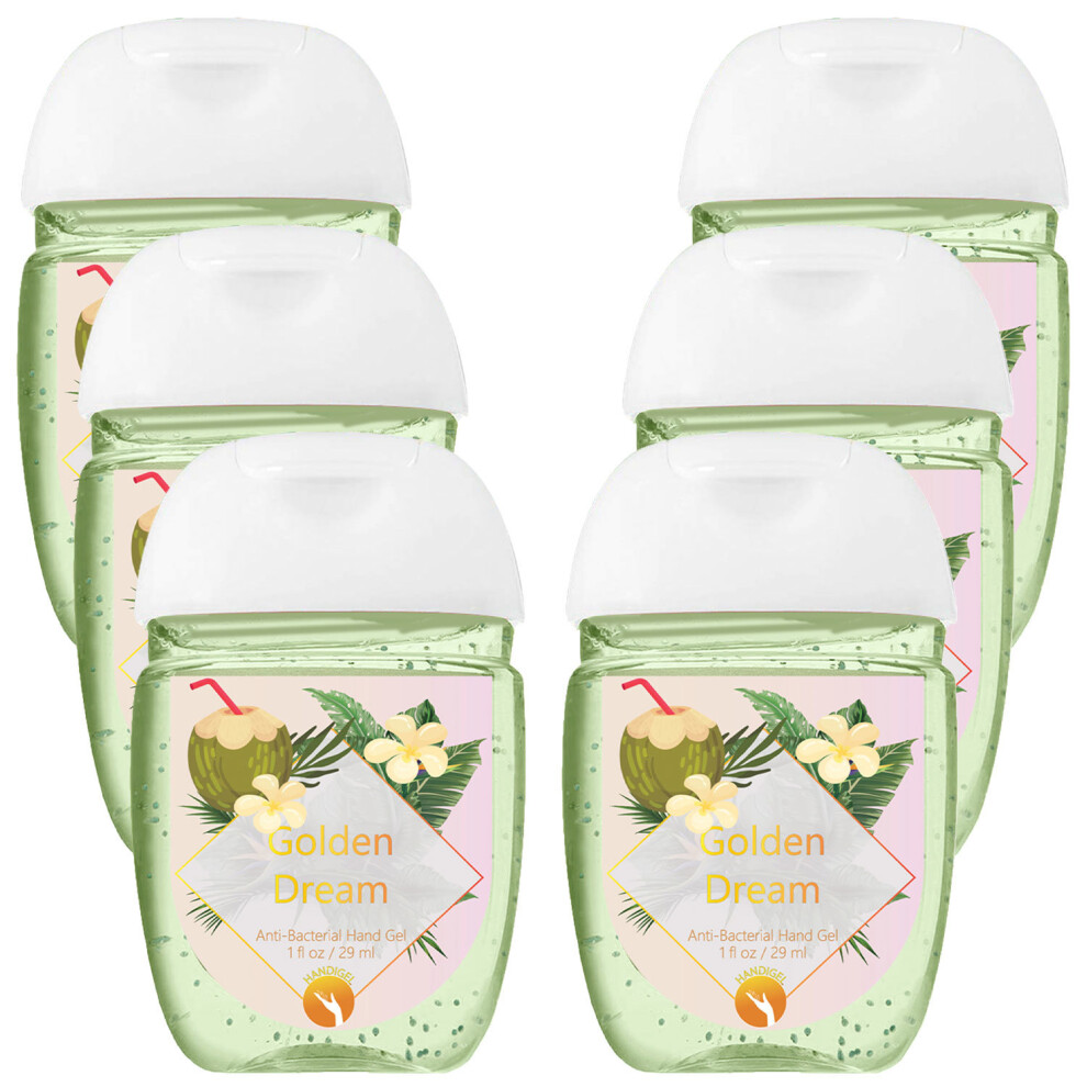 (Golden dream - Anti-bacterial hand gel, Buy 6) HandiGel Pocket Size Hand Sanitizers Gel, 29ml
