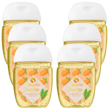 (Calypso sunrise - Anti-bacterial hand gel, Buy 6) HandiGel Pocket Size Hand Sanitizers Gel, 29ml