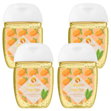(Calypso sunrise - Anti-bacterial hand gel, Buy 4) HandiGel Pocket Size Hand Sanitizers Gel, 29ml