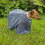 Henry Wag Drying Bag - Small [41202] 1