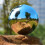 4pc Ανοξείδωτο χάλυβα Mirrored Gazing Balls | Διακοσμητικά κήπου 6