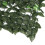 3M x 1M Artificial Ivy Leaf Screen Hedging Wall Cover Hedge Garden 10
