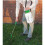 Silverline Silverline Pressure Sprayer - 5L Capacity 6