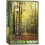 1000pc Eurographics Forest Path Jigsaw Puzzle 1