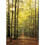 1000pc Eurographics Forest Path Jigsaw Puzzle 3