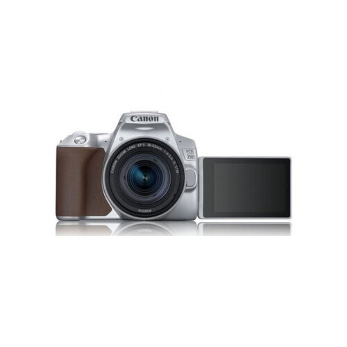 Canon Canon EOS 250D EF-S 18-55mm STM Kit (Silver) 2
