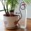 Lazy Plant Self Watering Stakes Automatic Drip Spikes Irrigation Tool 7