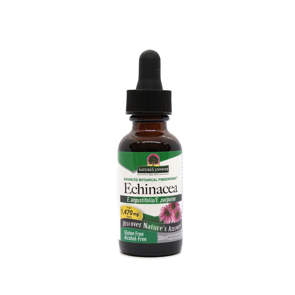 Nature's Answer Echinacea Root Alcohol Free 30Ml 1353