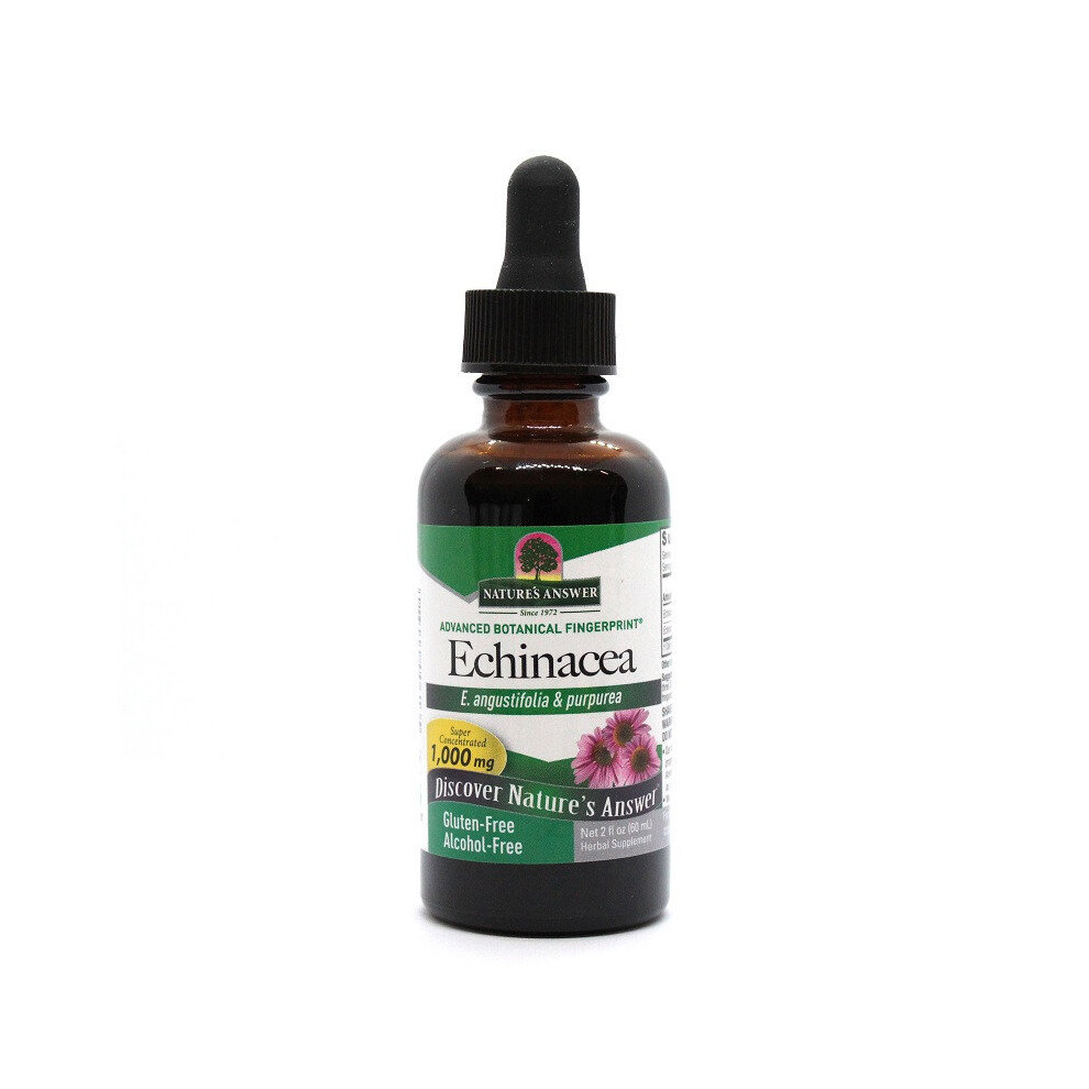 Nature's Answer Echinacea Root Alcohol Free 60Ml 1354