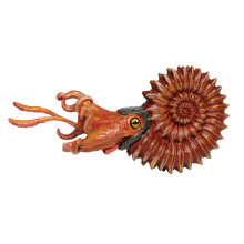 Safari Ltd. Figurina di Ammonite - Dettagliata figura di mollusco marino 5.25" - Giocattolo educativo per bambini 3+