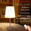 Ranpo Modern Table Desk Lamp USB Remote Control Dimmable LED Night Light 4