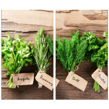 (Herbs) GEEZY Set of 2 Glass Chopping Cutting Board Induction Ceramic Hob Cover Worktop Saver