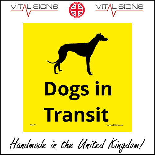 (150 x 150mm - 6 x 6, Magnetic - Vehicle Grade) VE177 Dogs In Transit Car Van Vehicle Transportation On Board Decal Sticker Sign