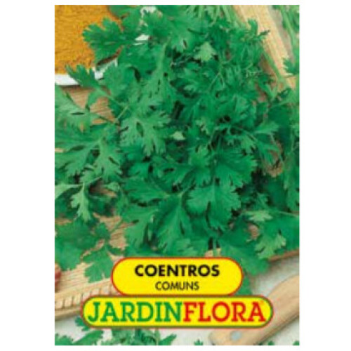 (Coriander) 4x Seeds