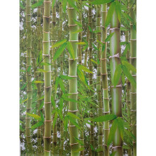 3D Effect Bamboo Forest Photo Mural Wallpaper Jungle Tropical  Green