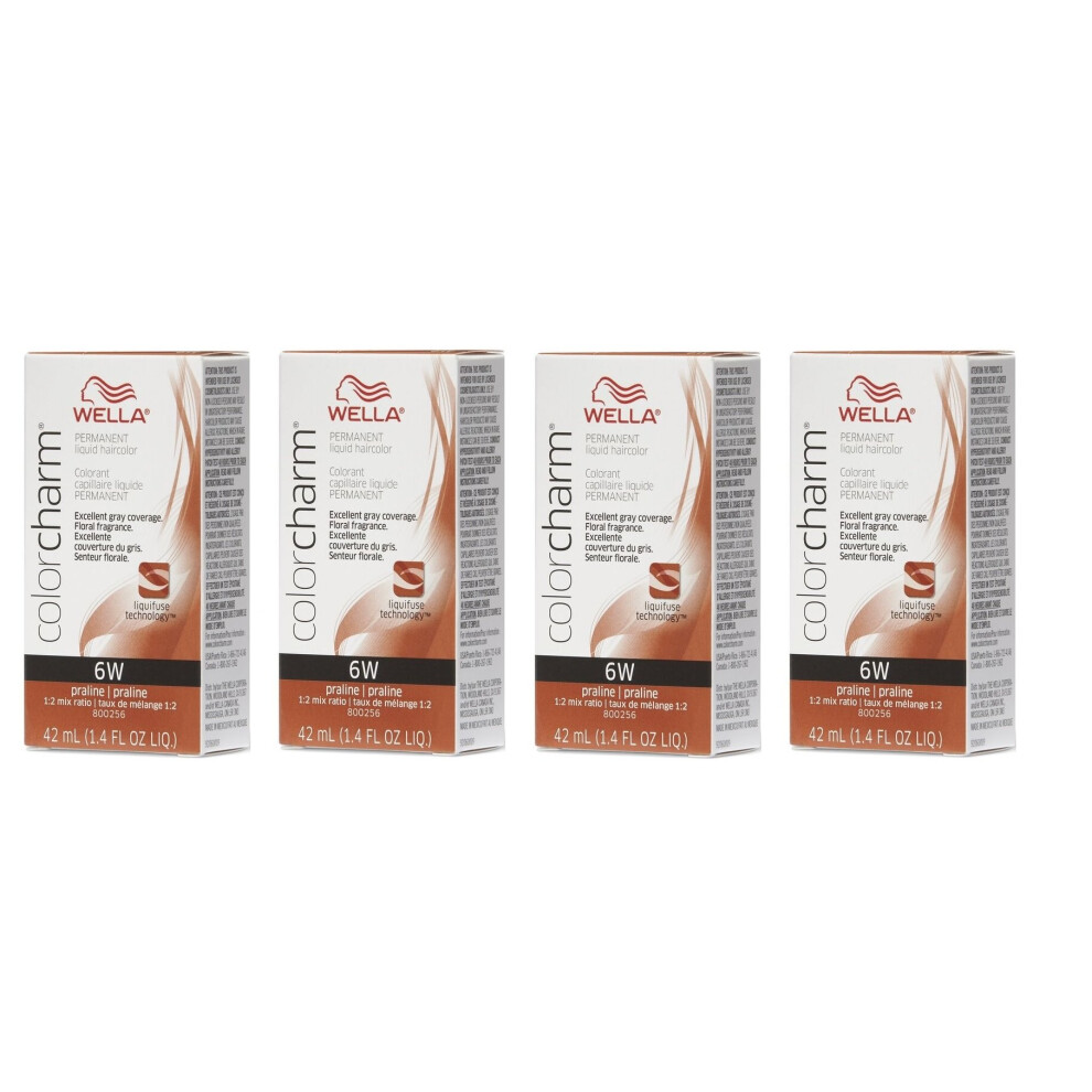 Wella Multicoloured (6W+ 6W+Developer (Vol. 20) 32Oz) 6W Praline Color Charm Permanent Haircolor