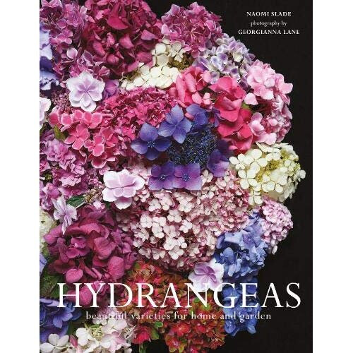 Pavilion Hydrangeas: Beautiful varieties for home and garden